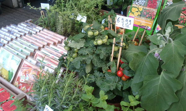 Цветочный рынок, помидоры