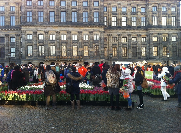 National Tulip day in Amsterdam