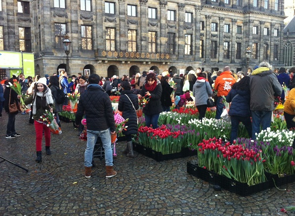 National tulip day in Amsterdam