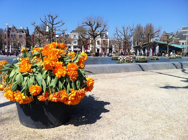 amsterdam-tulip-festival-14