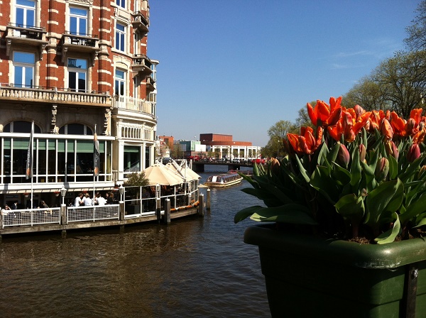 amsterdam-tulip-festival-4