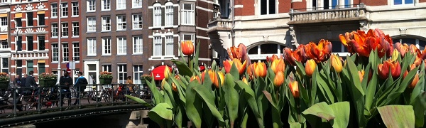 amsterdam-tulip-festival-intro