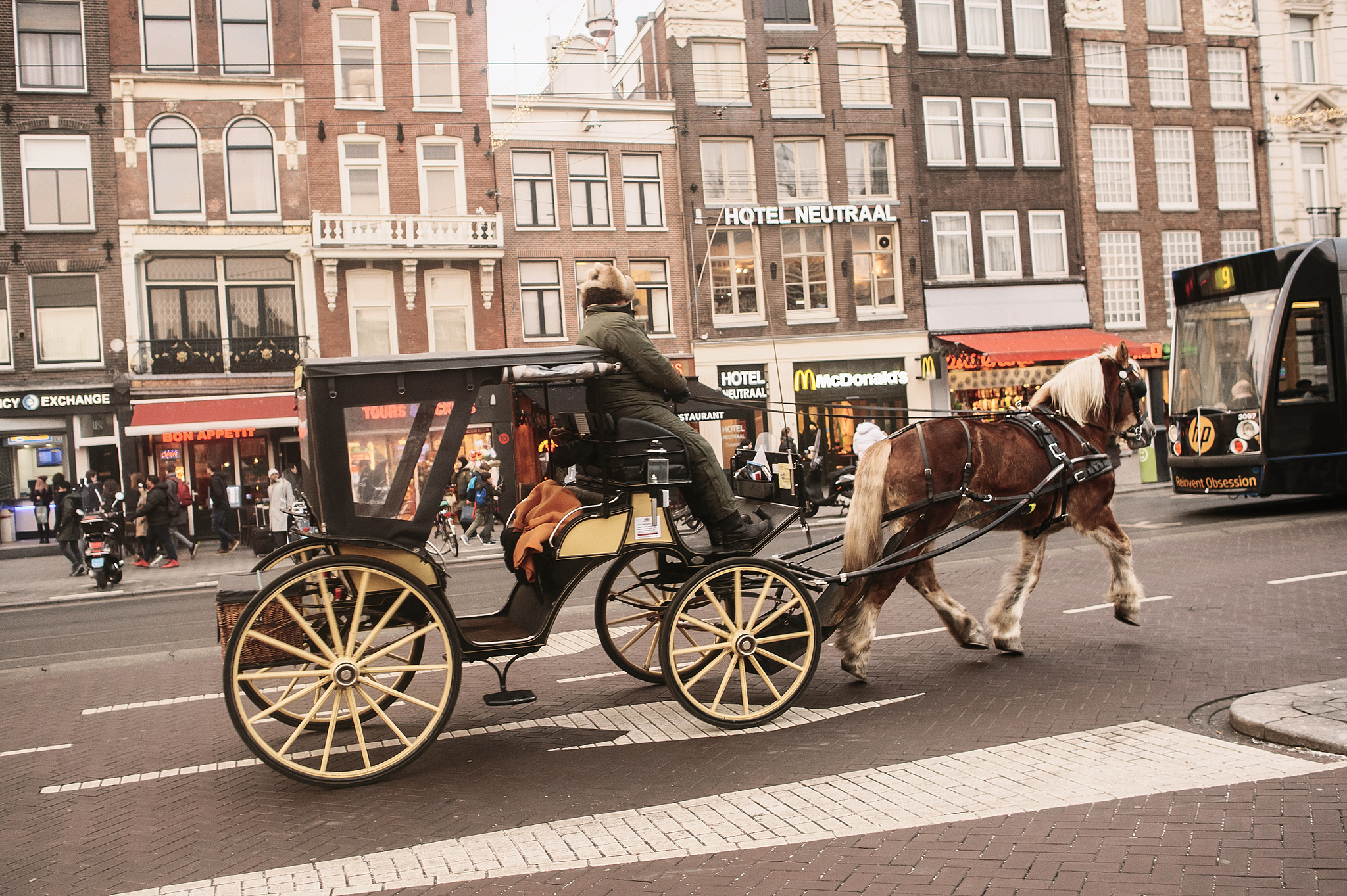 Прокатиться на карете в Амстердаме