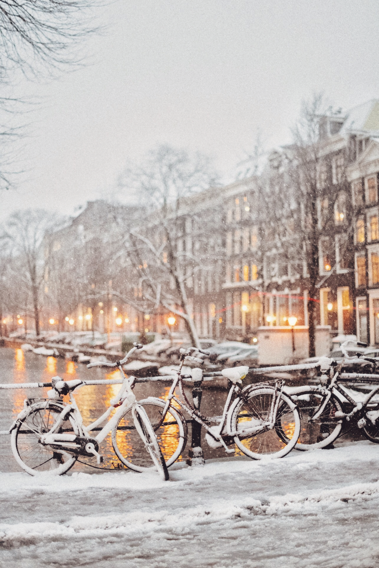 Амстердам в снегу. Фото: Кристина Кутена