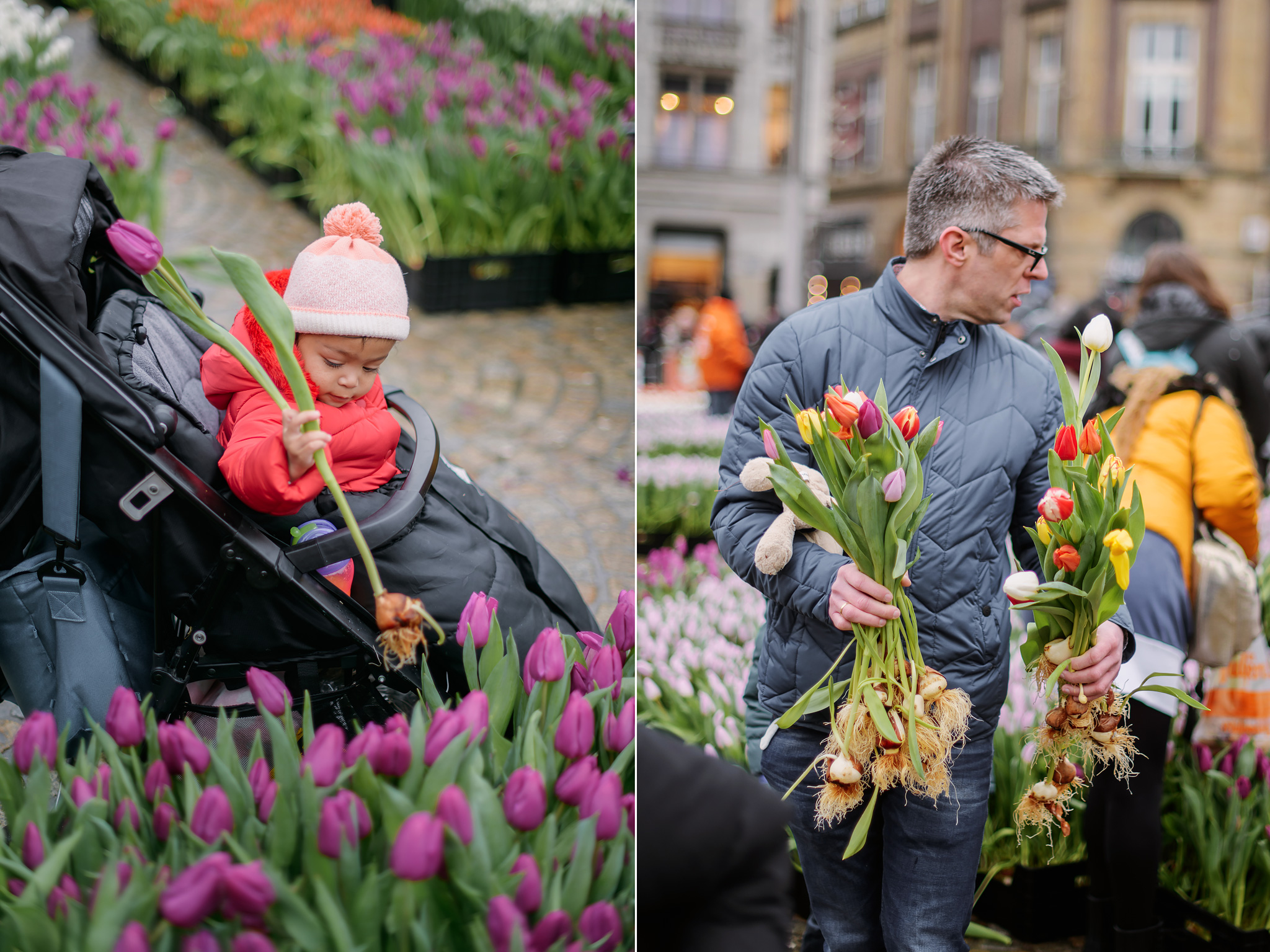 National Tulip Day in Amsterdam 20 January 2024 Holland Explorer