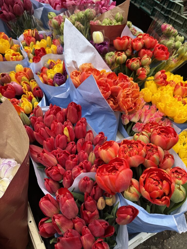 Тюльпаны на Цветочном рынке в Амстердаме